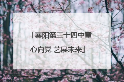 襄阳第三十四中童心向党 艺展未来