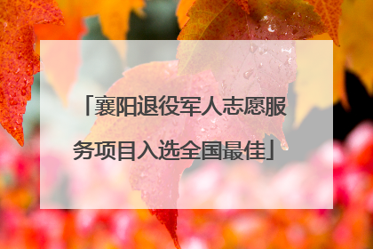 襄阳退役军人志愿服务项目入选全国最佳