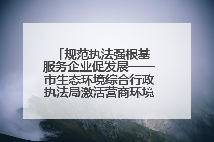 规范执法强根基 服务企业促发展——市生态环境综合行政执法局激活营商环境“绿色动能”