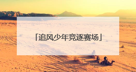 追风少年竞逐赛场