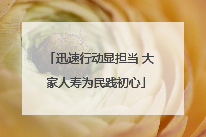 迅速行动显担当 大家人寿为民践初心