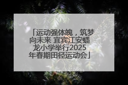 运动强体魄，筑梦向未来 宜宾江安蟠龙小学举行2025年春期田径运动会