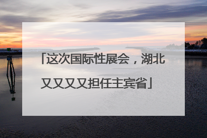 这次国际性展会，湖北又又又又担任主宾省