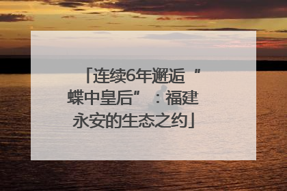连续6年邂逅“蝶中皇后”：福建永安的生态之约