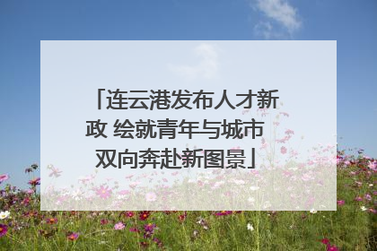 连云港发布人才新政 绘就青年与城市双向奔赴新图景