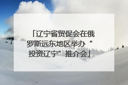 辽宁省贸促会在俄罗斯远东地区举办“投资辽宁”推介会