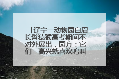 辽宁一动物园白眉长臂猿猴高考期间不对外展出，园方：它们一高兴就喜欢鸣叫，怕影响考试