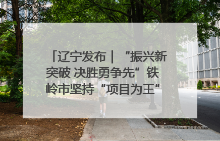 辽宁发布｜“振兴新突破 决胜勇争先”铁岭市坚持“项目为王”推进经济高质量发展