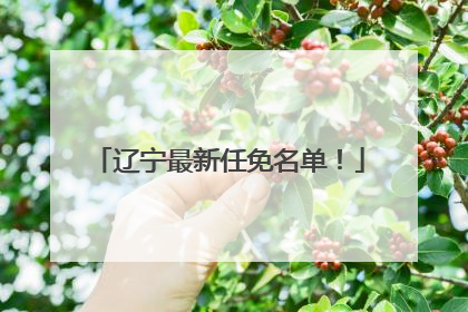 辽宁最新任免名单！