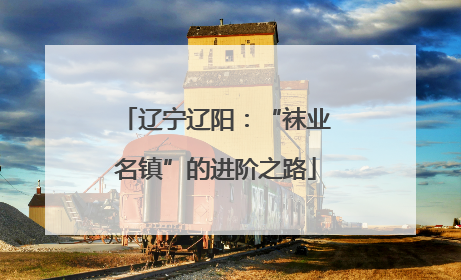 辽宁辽阳：“袜业名镇”的进阶之路
