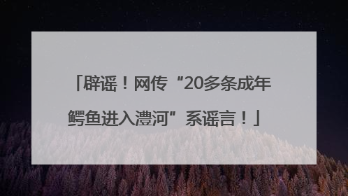 辟谣！网传“20多条成年鳄鱼进入澧河”系谣言！