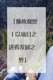 豫政观察丨以项目之进看发展之势