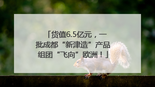 货值6.5亿元，一批成都“新津造”产品组团“飞向”欧洲！