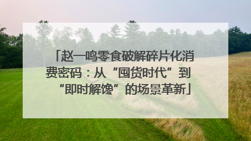 赵一鸣零食破解碎片化消费密码：从“囤货时代”到“即时解馋”的场景革新