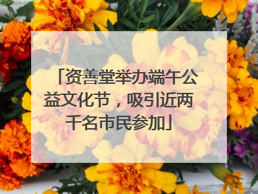 资善堂举办端午公益文化节，吸引近两千名市民参加