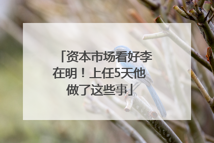 资本市场看好李在明！上任5天他做了这些事