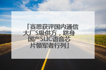 赛思获评国内通信大厂S级供方，跻身国产SLIC语音芯片领军者行列