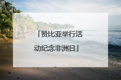 赞比亚举行活动纪念非洲日