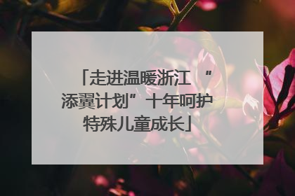 走进温暖浙江 “添翼计划”十年呵护特殊儿童成长
