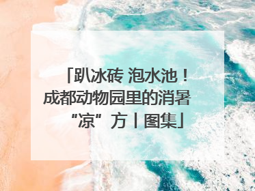 趴冰砖 泡水池！成都动物园里的消暑“凉”方丨图集