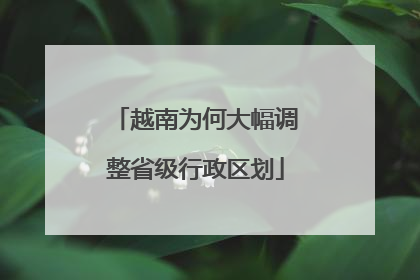 越南为何大幅调整省级行政区划