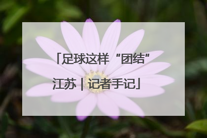 足球这样“团结”江苏｜记者手记