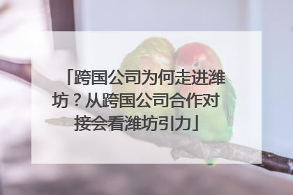 跨国公司为何走进潍坊？从跨国公司合作对接会看潍坊引力