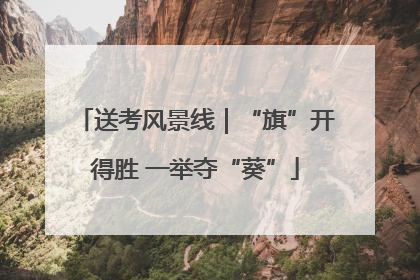 送考风景线｜“旗”开得胜 一举夺“葵”