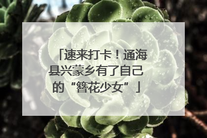 速来打卡！通海县兴蒙乡有了自己的“簪花少女”