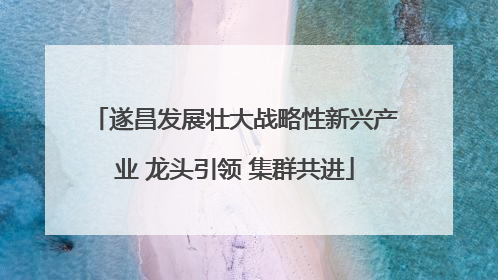 遂昌发展壮大战略性新兴产业 龙头引领 集群共进