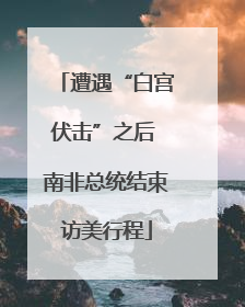 遭遇“白宫伏击”之后 南非总统结束访美行程