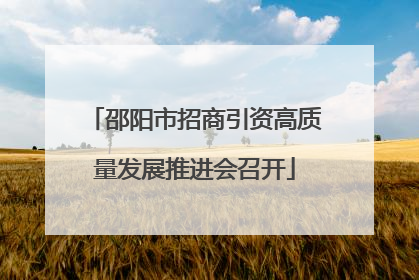邵阳市招商引资高质量发展推进会召开