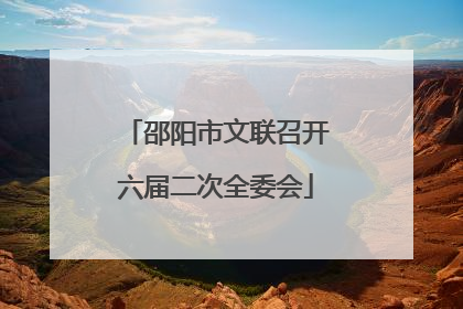 邵阳市文联召开六届二次全委会