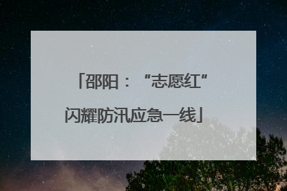 邵阳：“志愿红”闪耀防汛应急一线