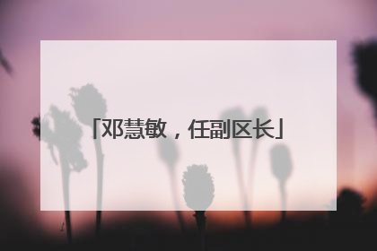 邓慧敏，任副区长