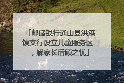 邮储银行通山县洪港镇支行设立儿童服务区，解家长后顾之忧