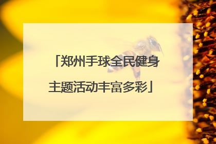 郑州手球全民健身主题活动丰富多彩