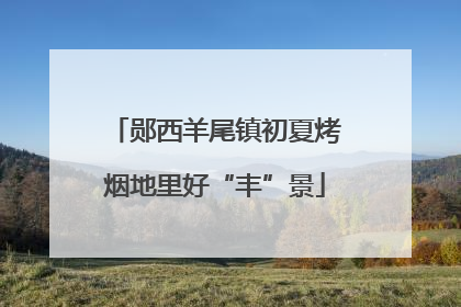 郧西羊尾镇初夏烤烟地里好“丰”景