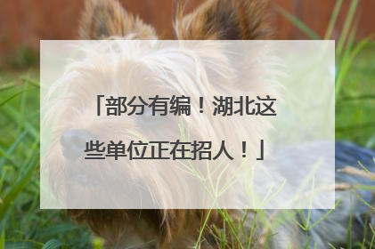 部分有编！湖北这些单位正在招人！