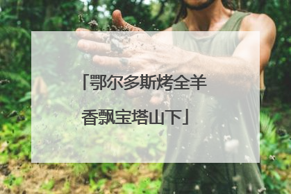 鄂尔多斯烤全羊香飘宝塔山下