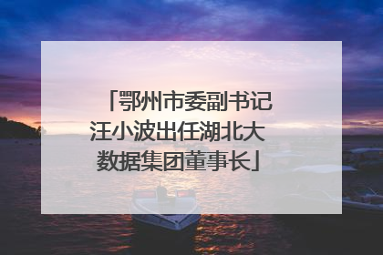 鄂州市委副书记汪小波出任湖北大数据集团董事长