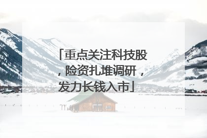 重点关注科技股，险资扎堆调研，发力长钱入市