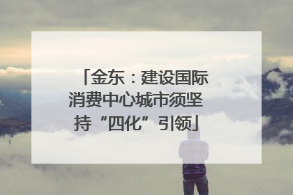金东：建设国际消费中心城市须坚持“四化”引领