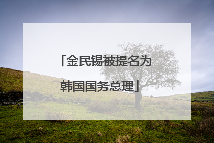 金民锡被提名为韩国国务总理