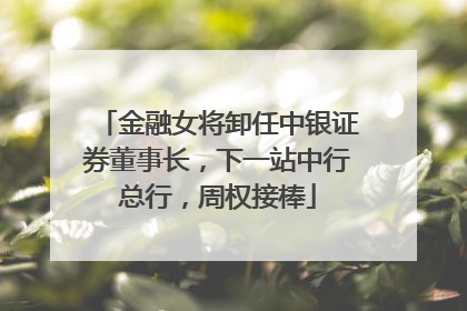 金融女将卸任中银证券董事长，下一站中行总行，周权接棒