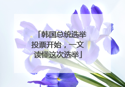 韩国总统选举投票开始，一文读懂这次选举