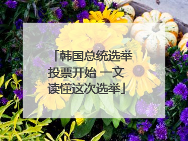 韩国总统选举投票开始 一文读懂这次选举