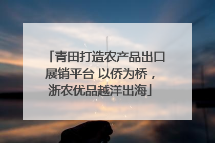 青田打造农产品出口展销平台 以侨为桥，浙农优品越洋出海