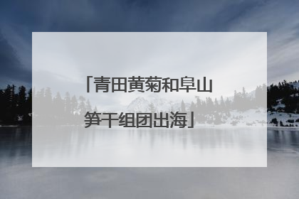 青田黄菊和阜山笋干组团出海