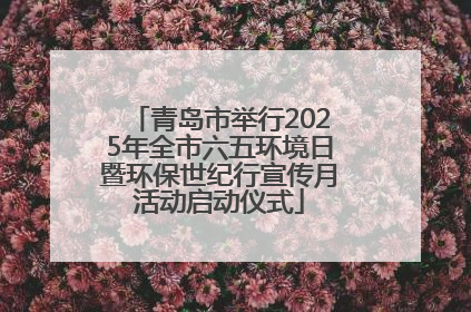 青岛市举行2025年全市六五环境日暨环保世纪行宣传月活动启动仪式